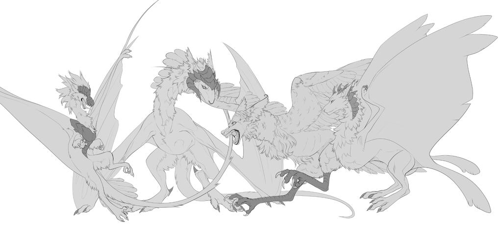 image211.jpg?v=0cc99d31